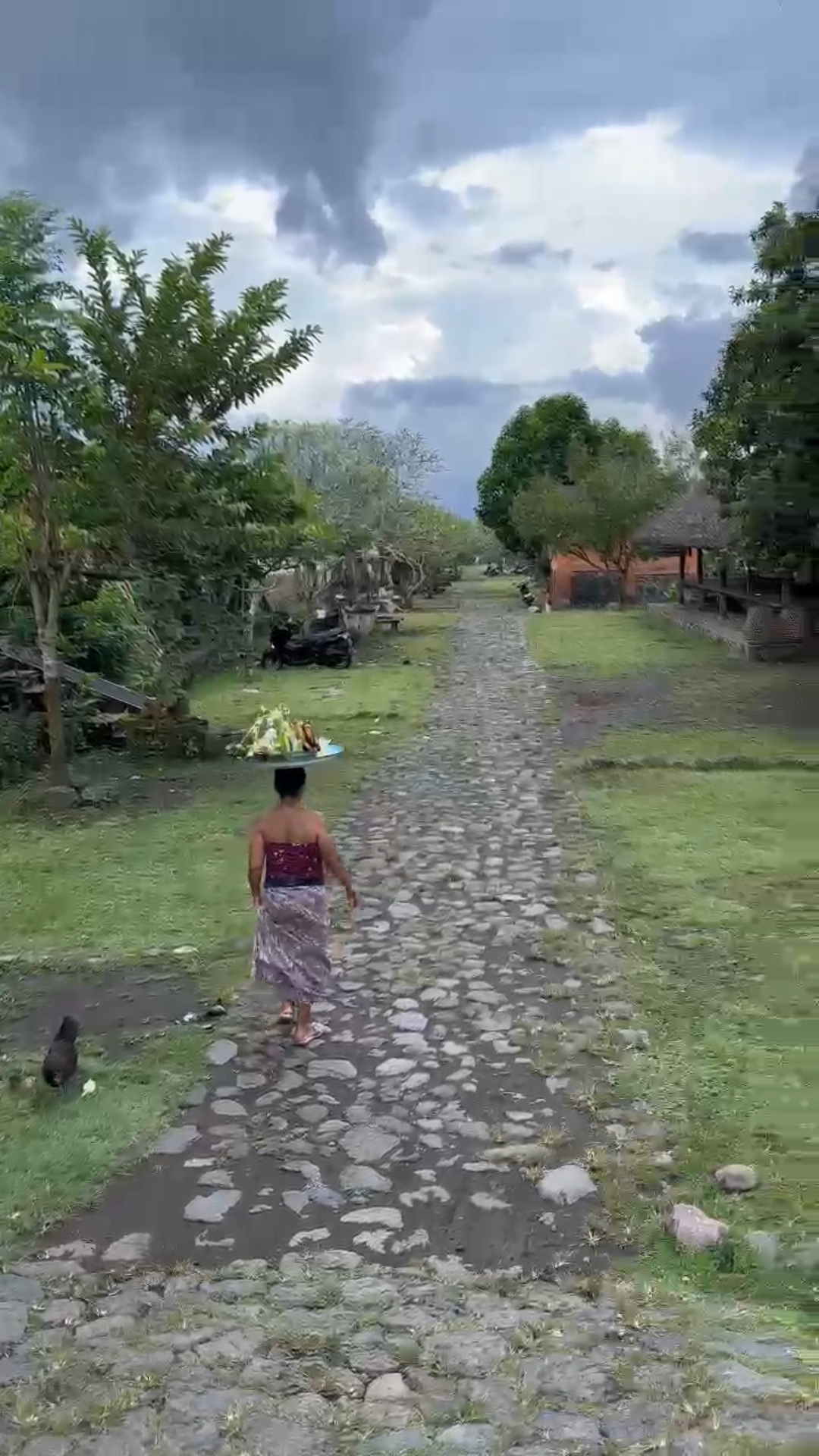 Bali-Aga: Ureinwohner-Dorf Tenganan!