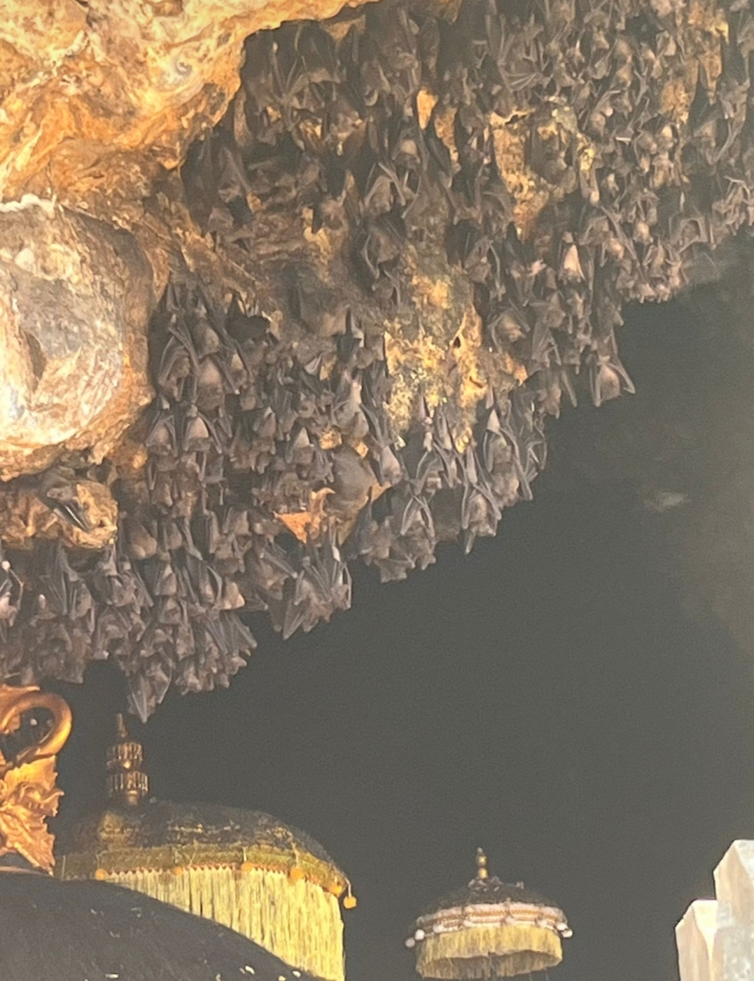 Fledermaushöhle Goa Lawah – Bild 3